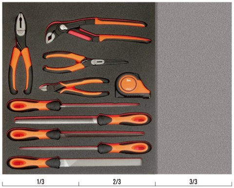 BAHCO Wkład narzędziowy - Sczypce i Pilniki warsztatowe, 10 elementów BAHCO