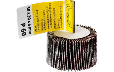 Drel Ściernica listkowa, 50 x 30 x 6 mm, trzpieniowa, P60 CON-RPA-5006 Drel Ściernica listkowa, 50 x 30 x 6 mm, trzpieniowa, P60 CON-RPA-5006