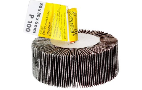 Drel Ściernica listkowa, 80 x 30 x 6 mm, trzpieniowa, P100 CON-RPA-8010 Drel Ściernica listkowa, 80 x 30 x 6 mm, trzpieniowa, P100 CON-RPA-8010
