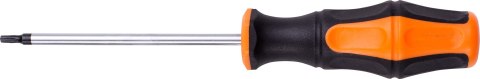 Wart Wkrętak Torx T10 x 100 mm W30K110 Wart Wkrętak Torx T10 x 100 mm W30K110
