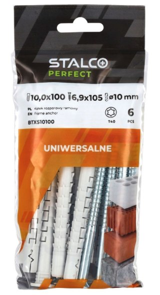 Torx/T40 TXS 10x100 bag (6)