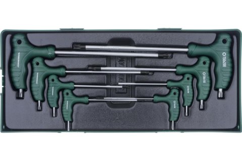 Jonnesway Zestaw 8szt. kluczy wpustowych TORX z uchwytem we wkładce plastikowej H10MT08SP Jonnesway Zestaw 8szt. kluczy wpustowych TORX z uchwytem we wkładce plastikowej H10MT08SP