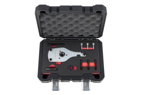 Quatros Zestaw do montażu/demontazu pompy wtryskowej FORD 2.0TDCi EcoBlue QS10055 Quatros Zestaw do montażu/demontazu pompy wtryskowej FORD 2.0TDCi EcoBlue QS10055