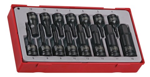 Teng Tools 15-elementowy zestaw nasadek maszynowych trzpieniowych sześciokątnych Teng Tools TT9015HX