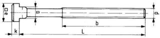 AMF Śruba do wpustów teowych (komplet) DIN787 M14x16x160mm AMF